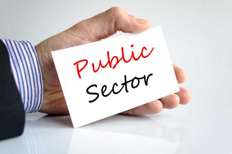 Public Sector Software Market
