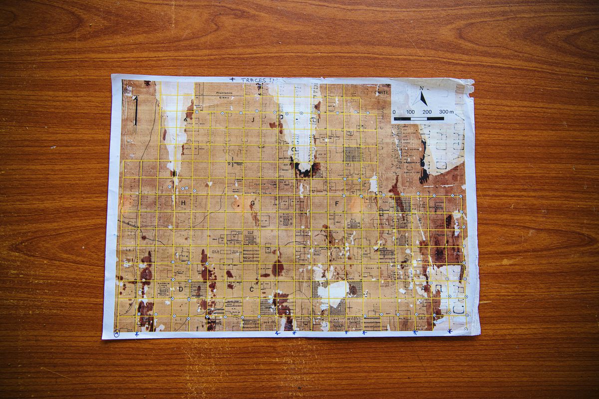 The scientists at Yangambi are using this crumbling colonial map to understand how Afrormosia grows.