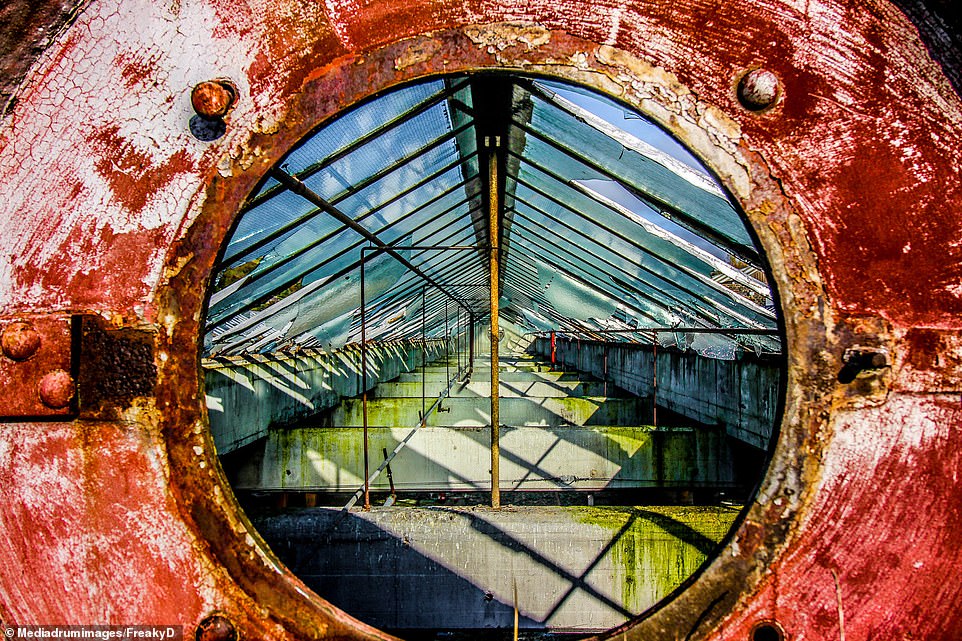 The shattered glass roof has caused the factory floors to rot and be covered in mould after rain water has seeped through