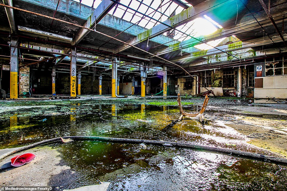 The shattered glass roof has allowed rain to seep through which has caused stagnant water to build in the main part of the factory