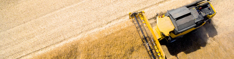 Image result for Agricultural Supply Chain Service