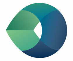 Camtek logo