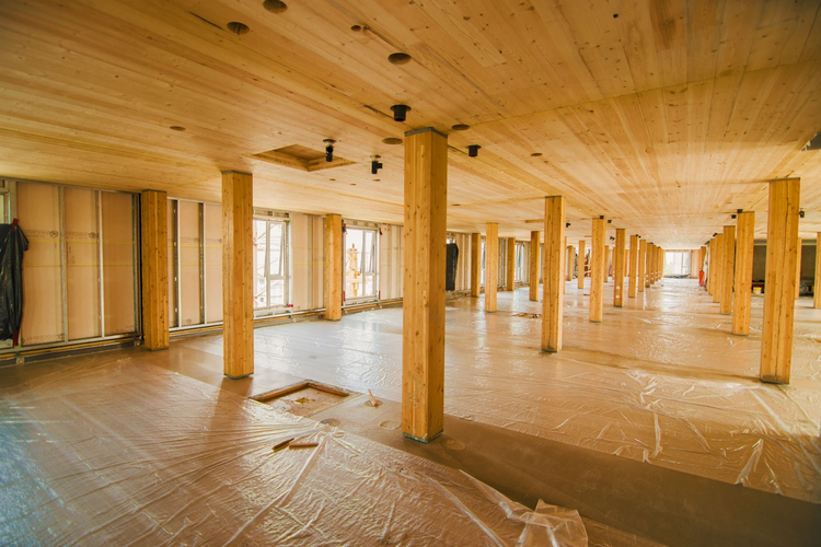 Timber interior of building