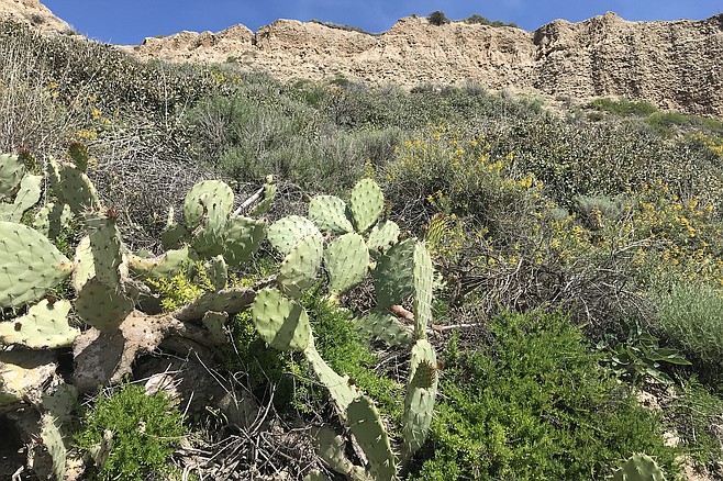 USGS says Southern California cliffs could recede 130 feet by 2100