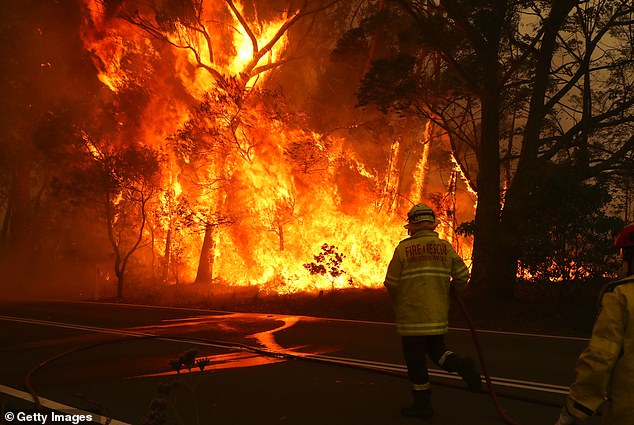 Firefighters run to move their truck during a raging bushfire at Bilpin northwest of Sydney on December 19.  Bushfire-hit states will themselves benefit from the change to include local government disaster spending in the GST allocation but must wait up to three years