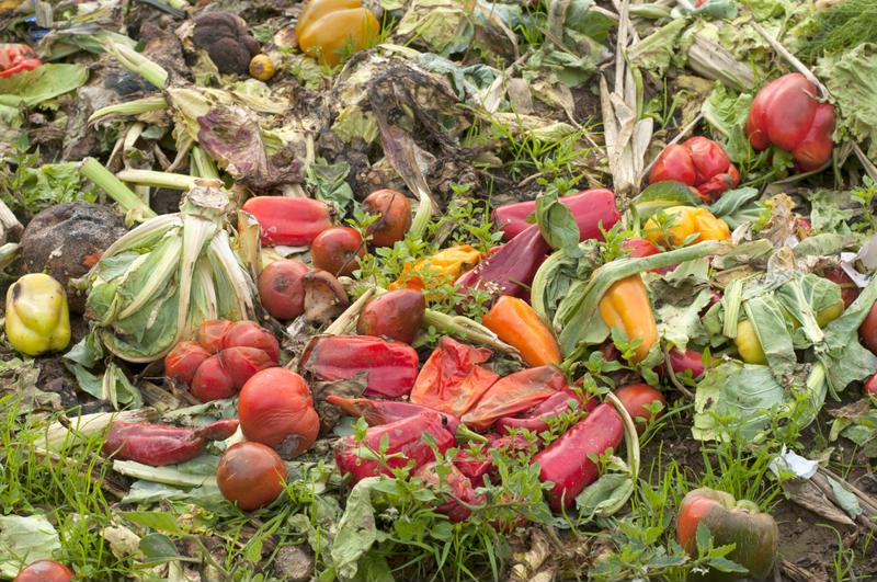 Cutting down food waste is critical.