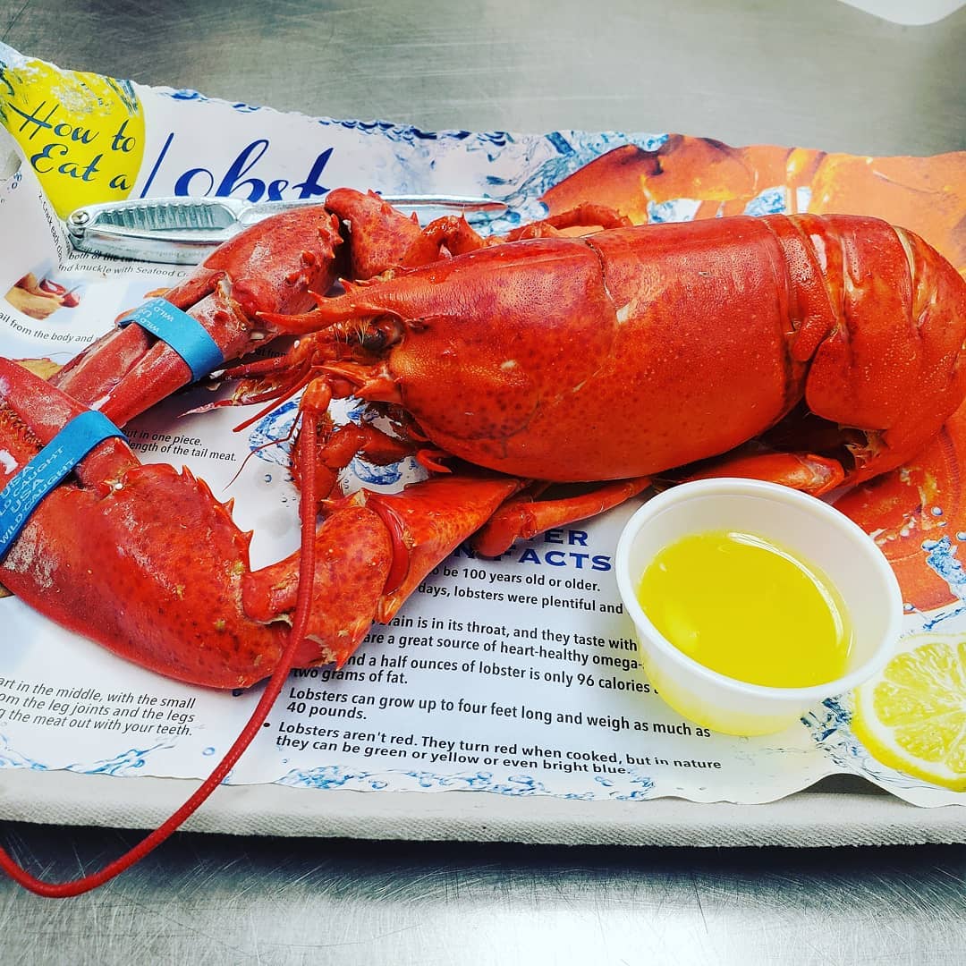 A new food truck, For the Shell of It, is hitting up breweries, private events, and business lunches all over the Cape Fear region, featuring fresh Maine lobster. (Port City Daily photo/Courtesy For the Shell of It) 