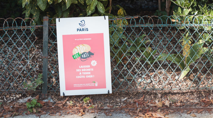 shutterstock_1510643153 rats sign paris parks By frantic00