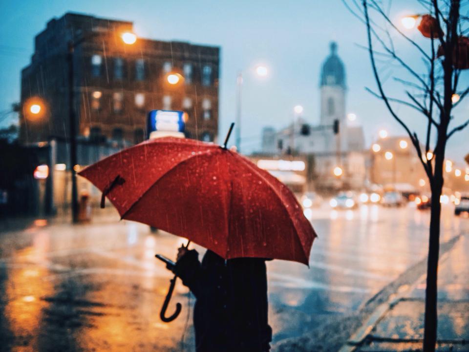 Person Carrying Umbrella Standing On City Street During Rainy Season