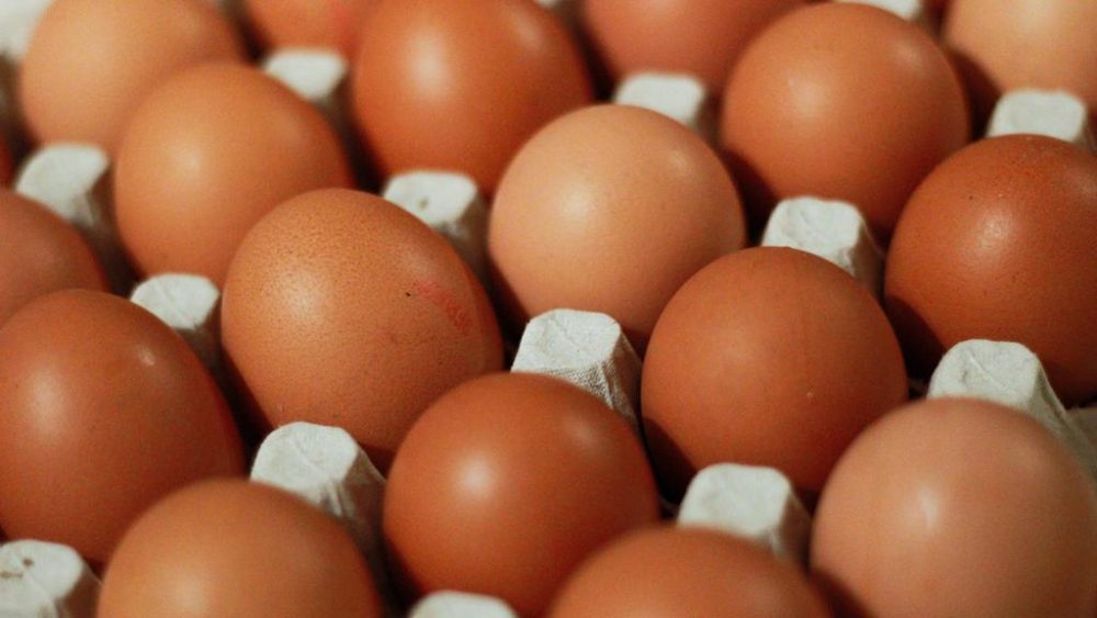 In December 2019, the Singapore Food Agency suspended two farms in Ukraine due to detections of drug residues fluoroquinolones and salinomycin in their eggs. ― DDP/Unsplash pic via TODAY