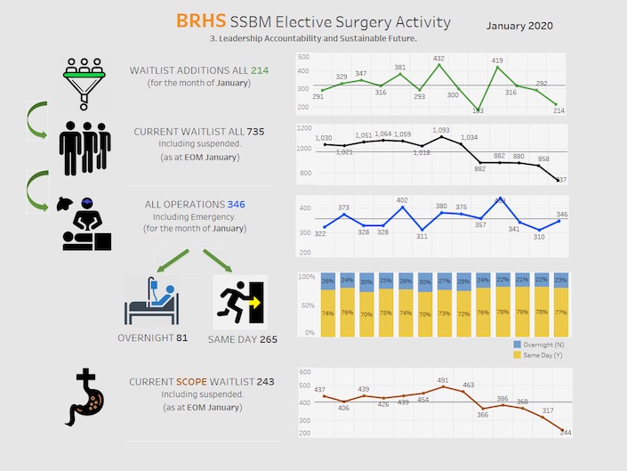 BRHS Elective Surgery