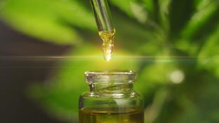 Consumer Brands Association Creates Expert CBD Board