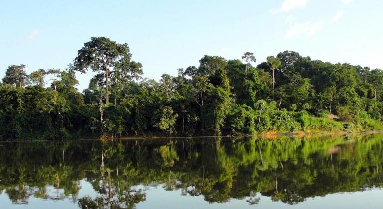 Conserved Amazon rainforest in Pará state, Brazil. Image courtesy of Ideflor-Bio / Fotos Públicas.