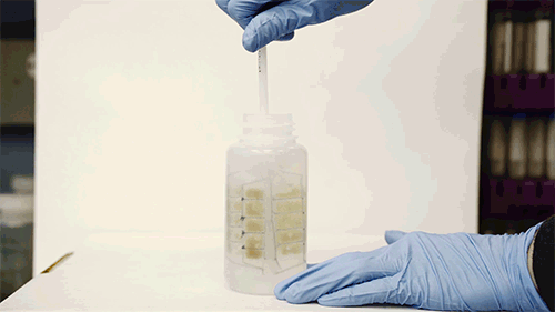 After the device is pulled out and dried, it can preserve any metal contaminants that it has picked up, for long periods of time. The device can be flattened and mailed to a lab, where the contaminants can be further analyzed.