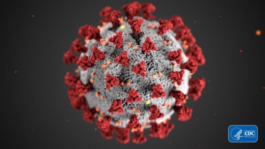 coronavirus11