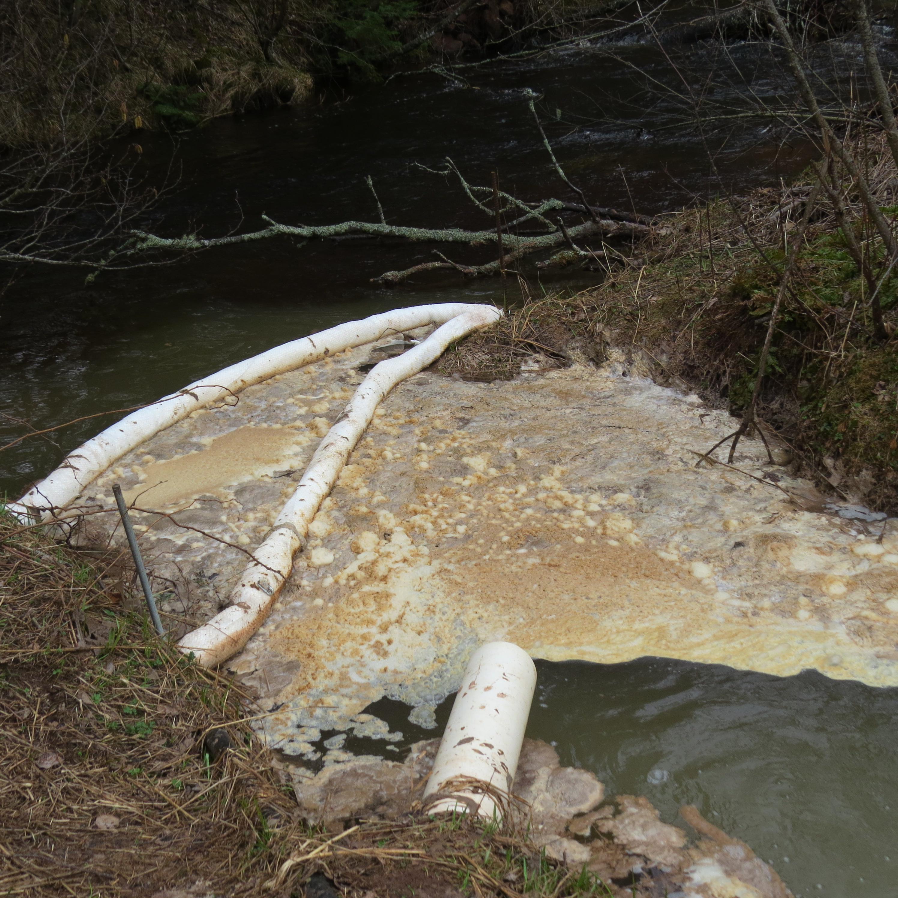 A slimy sludge covers the water where runoff from a nearby fish hatchery ends up in the Cardigan River.