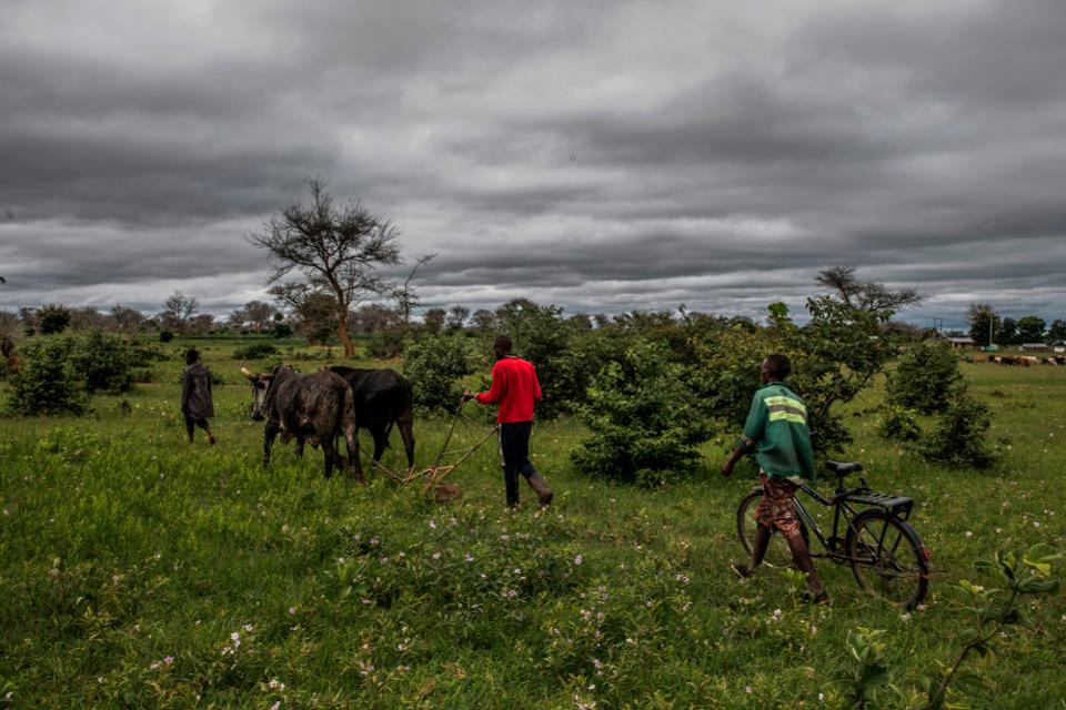 ZAMBIA-DROUGHT-CLIMATE-AGRICULTURE