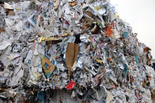 cubes of shredded paper