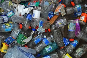 plastic bottles