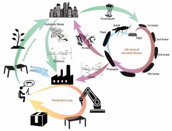 plastic bioplastic waste reduction circular economy