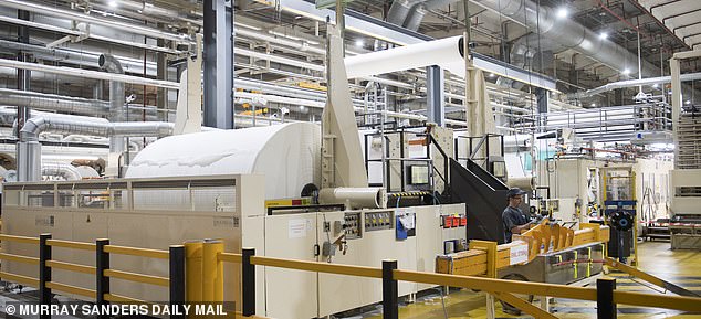 The sprawling factory floor is a roar of noise as it churns out millions of rolls a day. The paper is made from wood pulp imported from offcuts of hard wood from Scandinavia and soft wood from South America