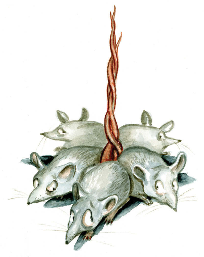 illustration by Tim Bower