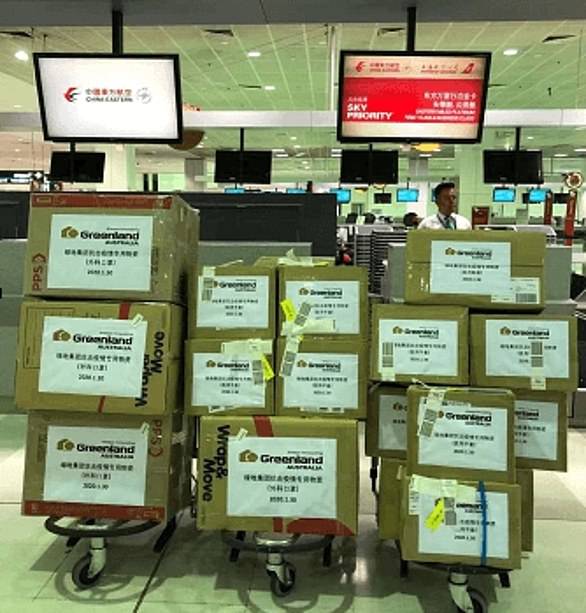 Bulk supplies of vital medical items were shipped from Sydney to China at the request of a Beijing-backed property giant