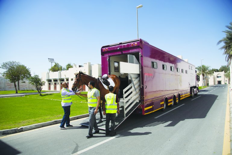 Bin Yousef Cargo handles   equine logistics for the Longines Global Champions Tour in Doha