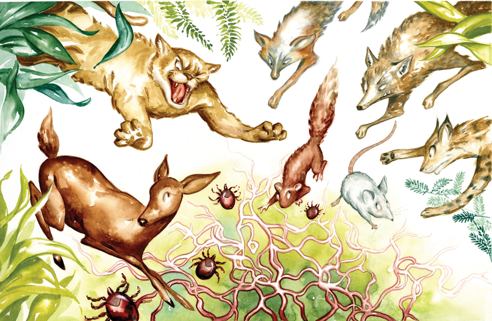 illustration by tim bower