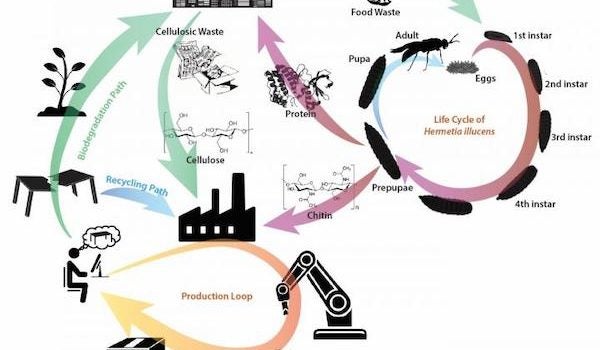 plastic bioplastic waste reduction circular economy