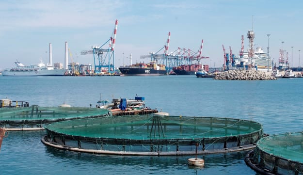 Fish farm at Ashdod Port