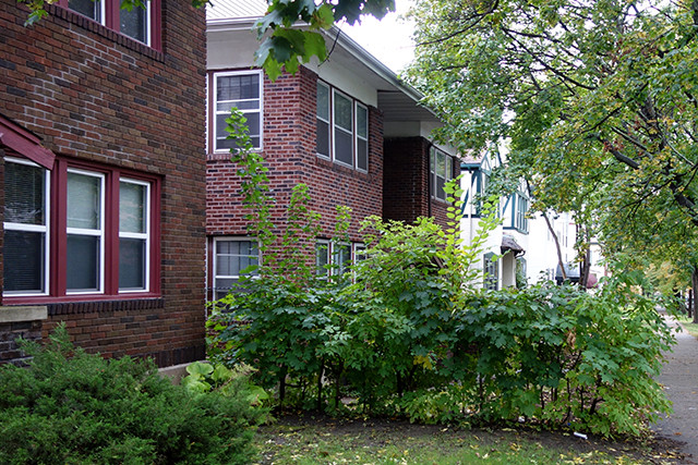 apartments