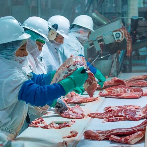 Senator Tammy Baldwin Wants the Inside of Slaughterhouses Exposed to the Public