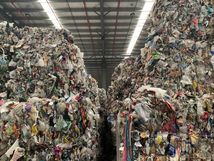 Huge piles of baled recyclable waste tower up towards the roof of a large warehouse, photographed from inside.