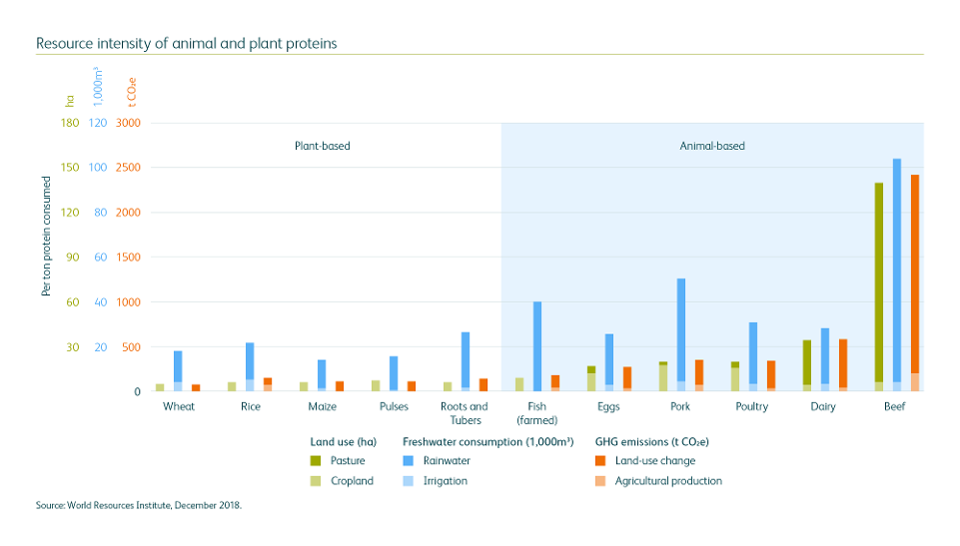 PANDEMIC: Resource intensity of animal and plan proteins