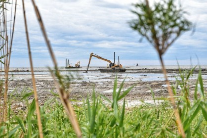 TNCA says contractors pumped more than 275,000 cubic yards of dredged material to fill the marsh creation areas. (Lisa Johnson)