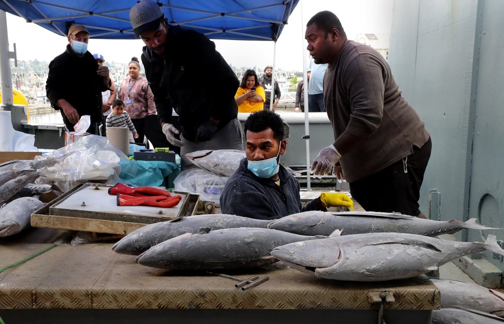 Crew member Eseroma Lebaleba emerges from the freezer below deck Saturday having brought up frozen albacore troll-caught tuna for buyers on the dock at Fishermen’s Terminal. In the background on deck are captain Joe Malley, left, crew members Jone Ranawai and Paul Raikeve. They fish the South Pacific and find selling their top-shelf tuna a challenge because of coronavirus closures of restaurants. (Alan Berner / The Seattle Times)