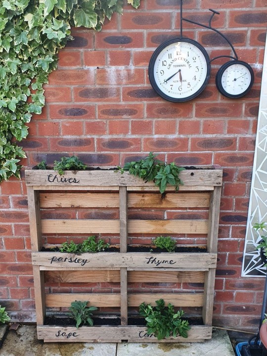 Hellan Pearce's diy plant holder
