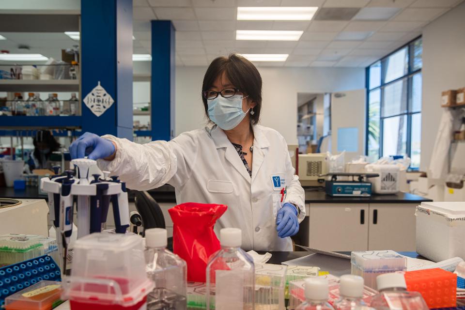 US-HEALTH-VIRUS-RESEARCH-MEDICAL