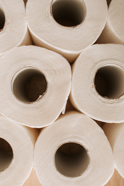 Rolls of toilet paper