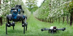 Agricultural Robots