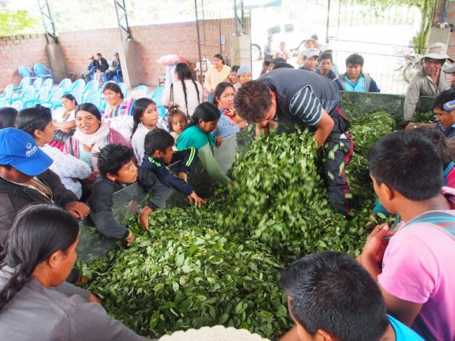 A man drying coca leaves, Chapare Bolivia, 2019. (Photo by Thomas Grisaffi)