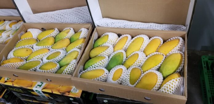 Mangoes