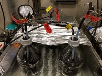 IMAGE 2 Codigestion.jpg