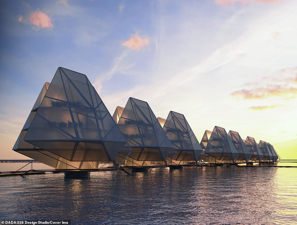 Pictured: A series of sea-anchored dwellings, which could solve the issue of overpopulation, according to the design company