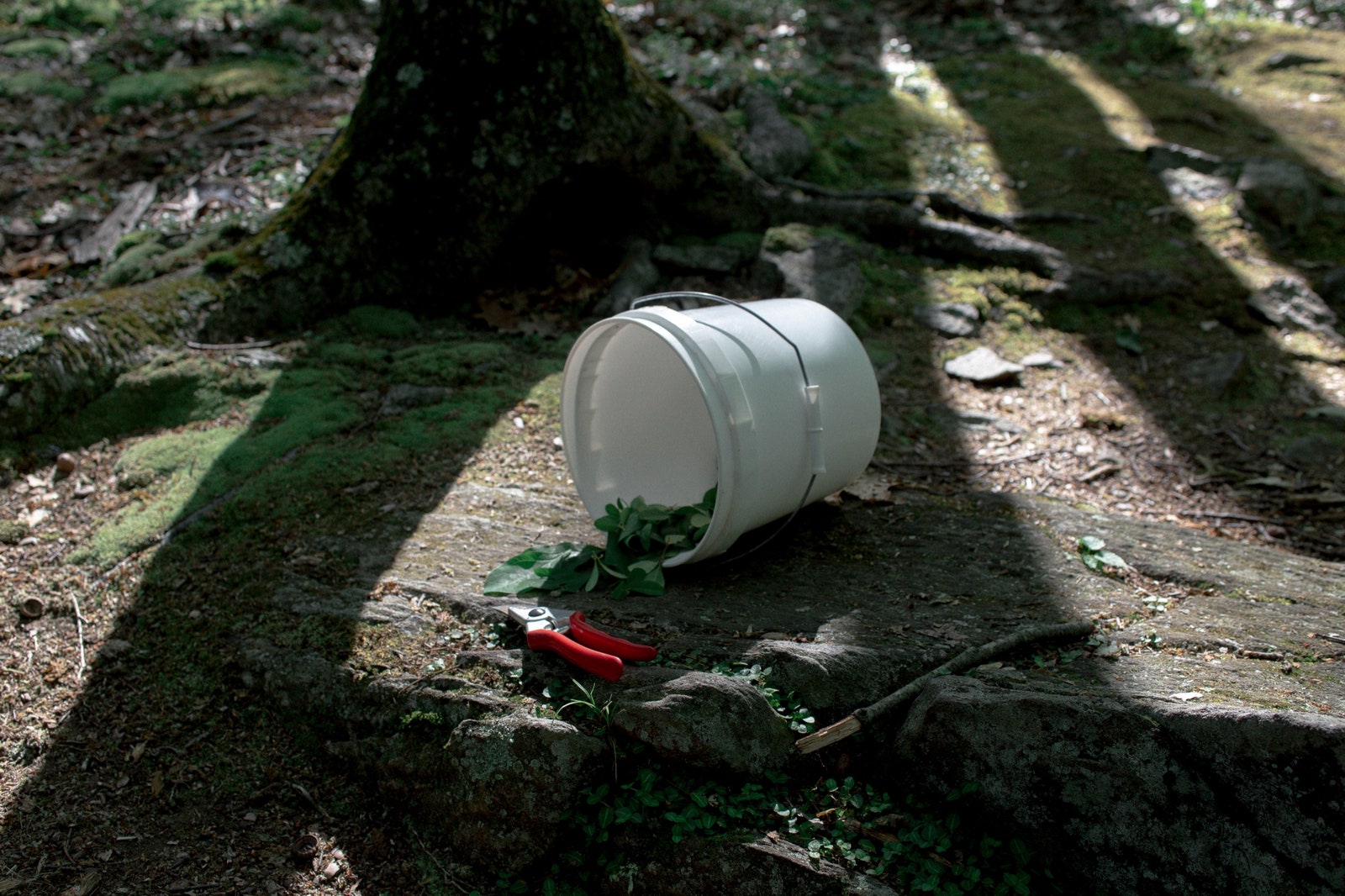 Bucket on its side.