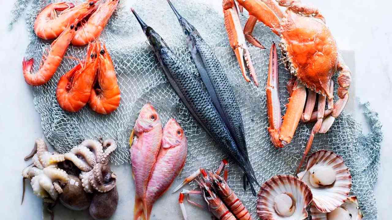  World Ocean Day: Alternative seafood offers twin solution to address food security, planets health