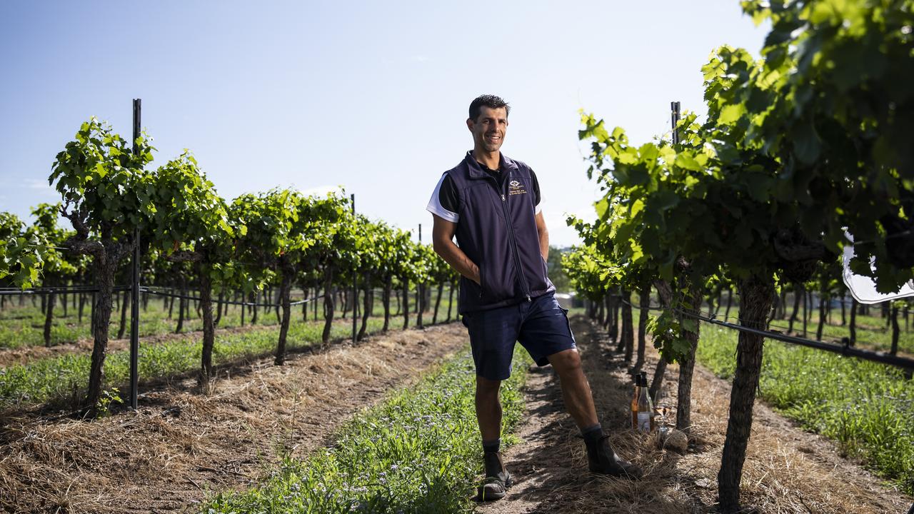 Granite Belt winemaker Ray Costanzo from Golden Grove Estate. Picture: Mark Cranitch. Granite Belt winemaker Ray Costanzo from Golden Grove Estate. Picture: Mark Cranitch.