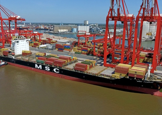 MSC Tamara
