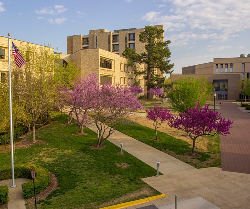 The business quad at the University of Arkansas.